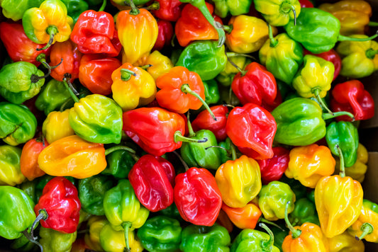 3 Traditional Jamaican Spices You Need to Know